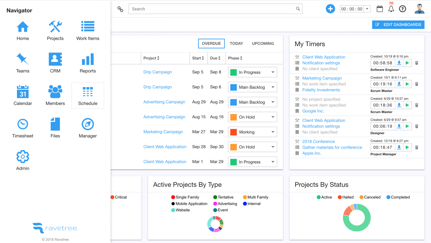 ravetree marketing project management example