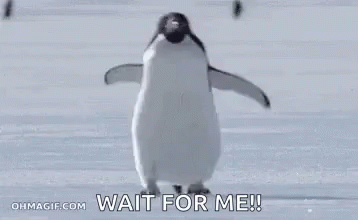 running penguin with caption wait for me