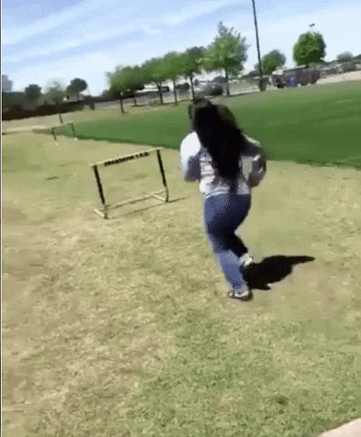 woman tripping over a hurdle gif