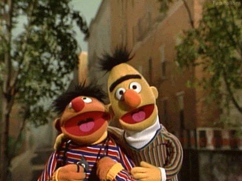 Bert and Ernie from the Muppets