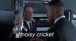 noisy cricket gif
