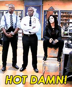 captain holt saying hot damn