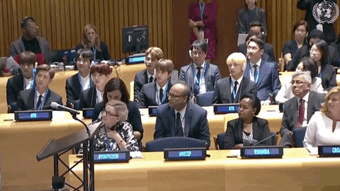 ambassadors at UN assembly
