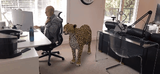cheetah in an office gif