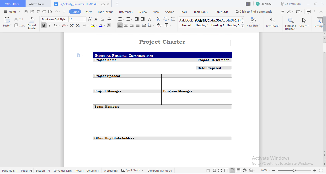 Solarity project charter template