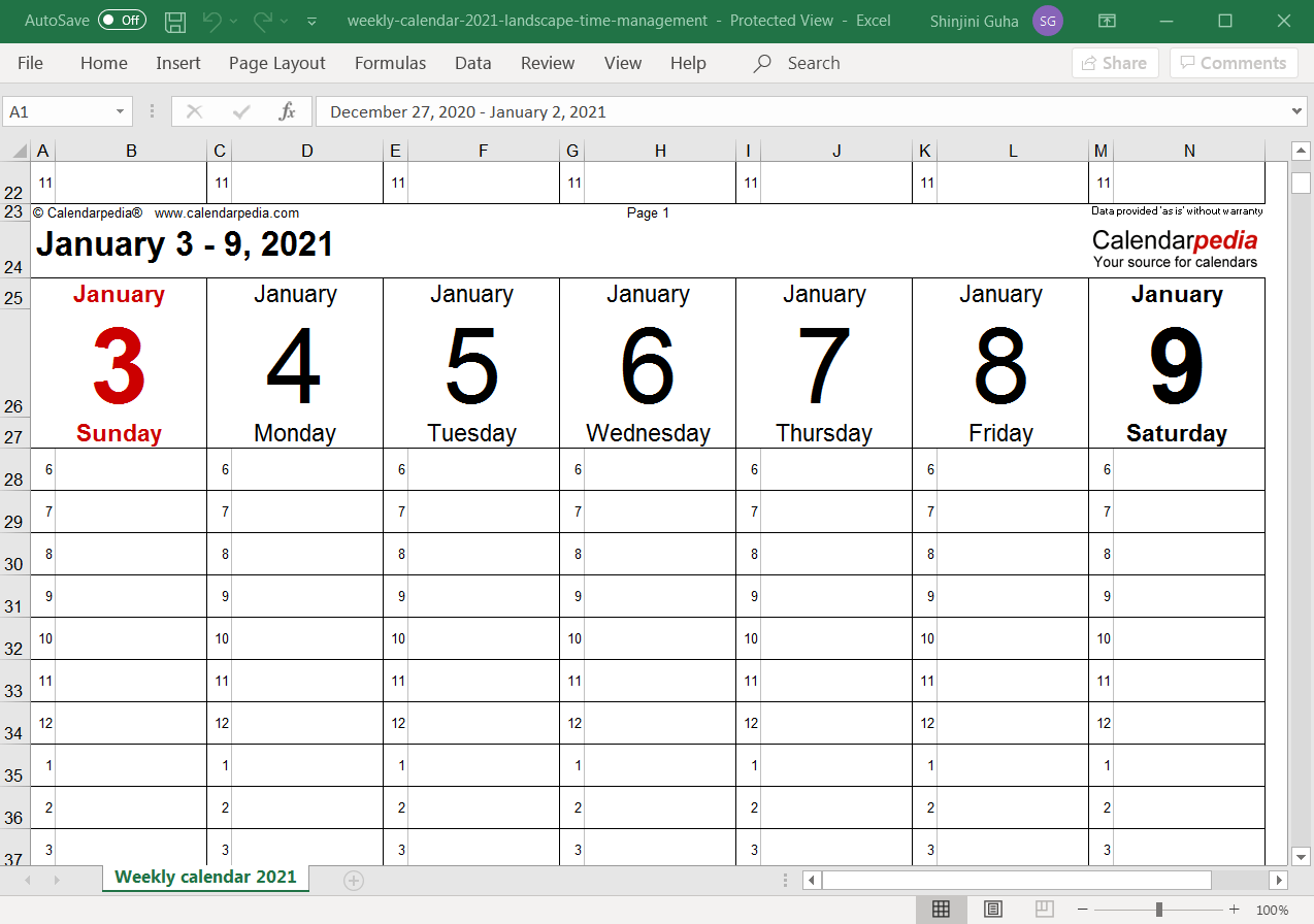 spreadsheet with January to-do list