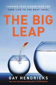 The Big Leap book