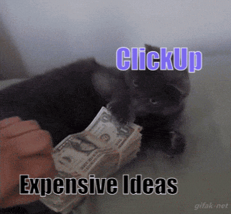 cat protecting money gif