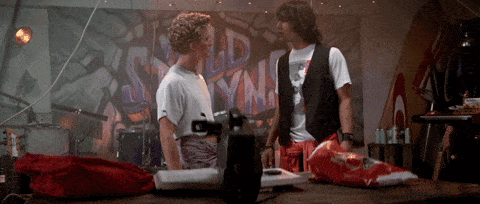Bill and Ted excellent
