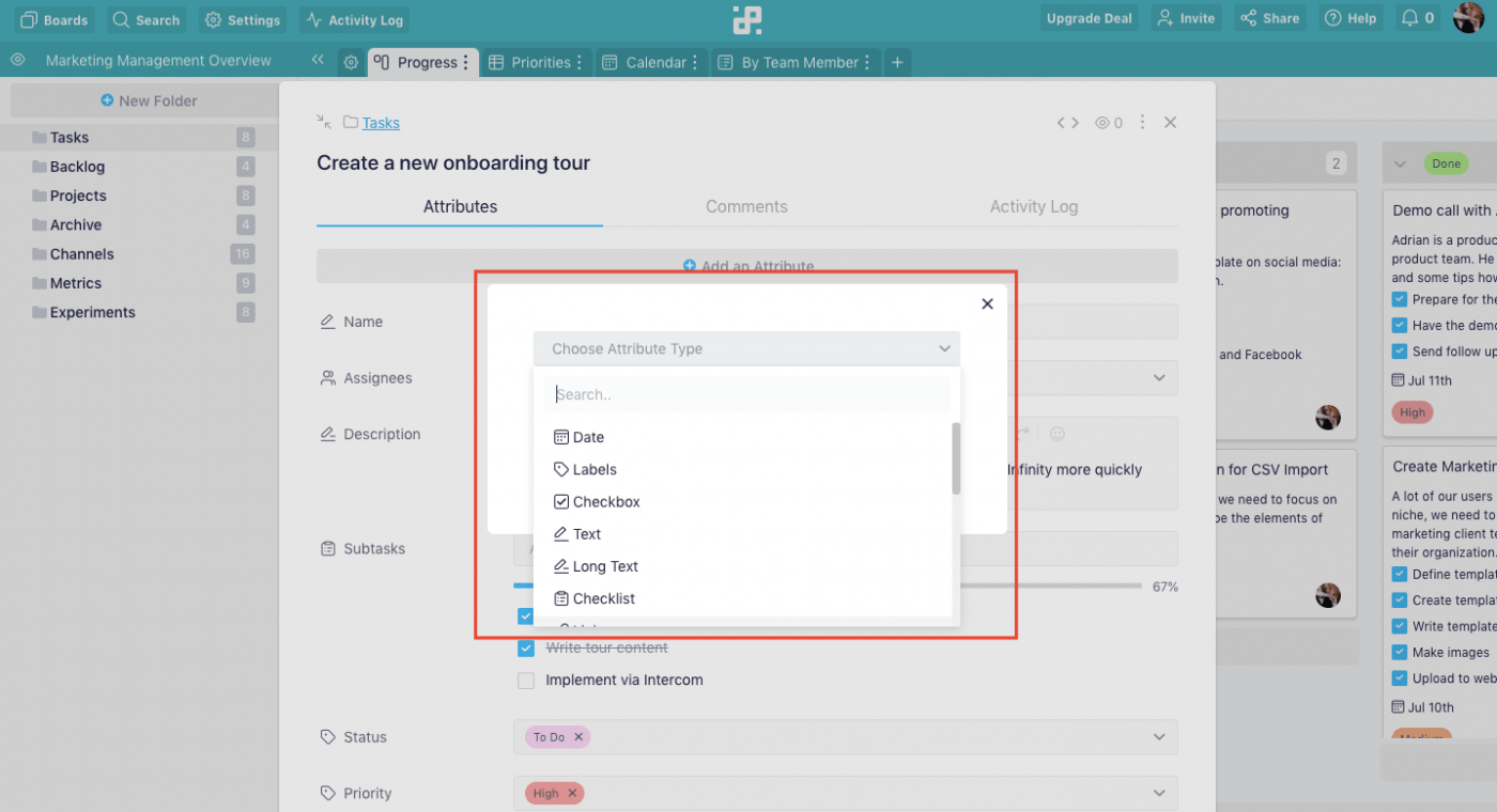 infinity project management custom attributes