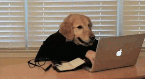 a dog typing on a laptop