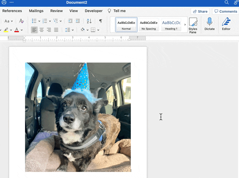 añada imágenes y utilice la flecha desplegable para ajustar el tamaño de una foto en ms word