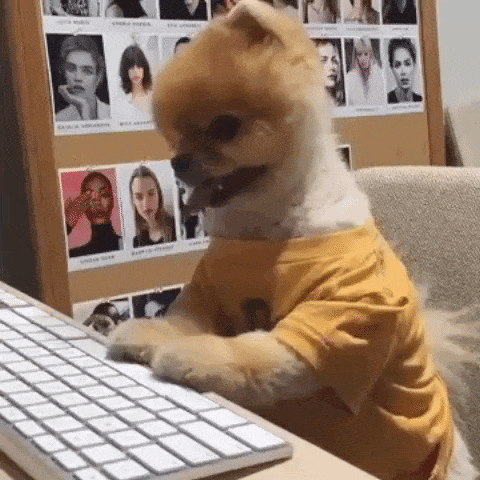 dog typing on a keyboard gif