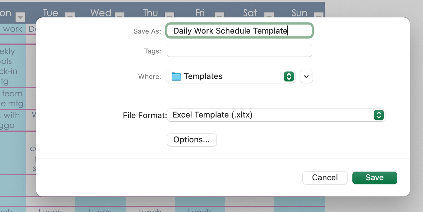 save the excel work schedule for future use