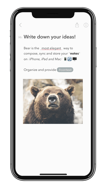 bear app