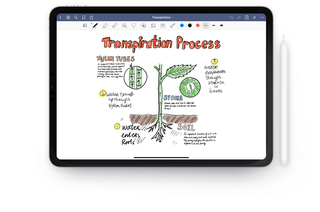 esempio di prodotto goodnotes