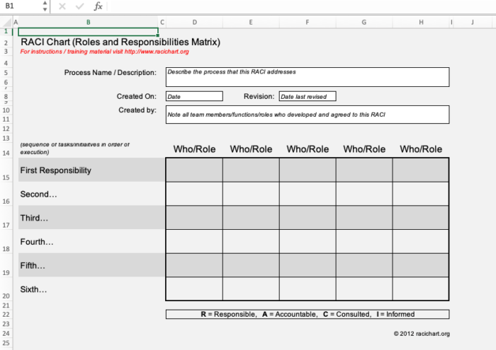 Raci Chart Template Excel