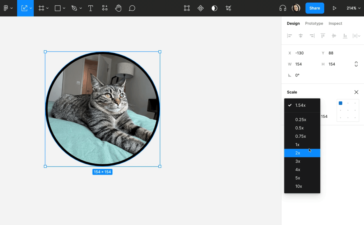 Figma Product Example Image Scale Feature