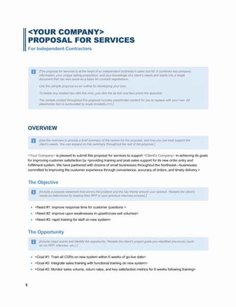 Microsoft Services Proposal Template Example