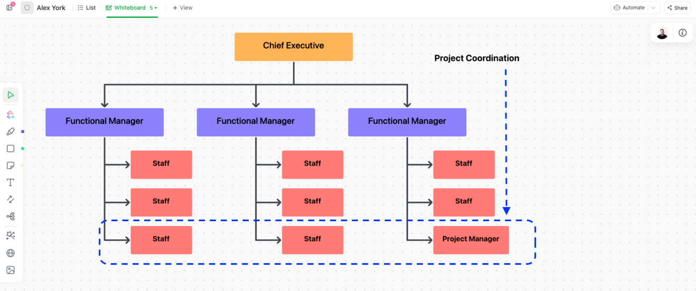 Balanced Functional Organization Structure