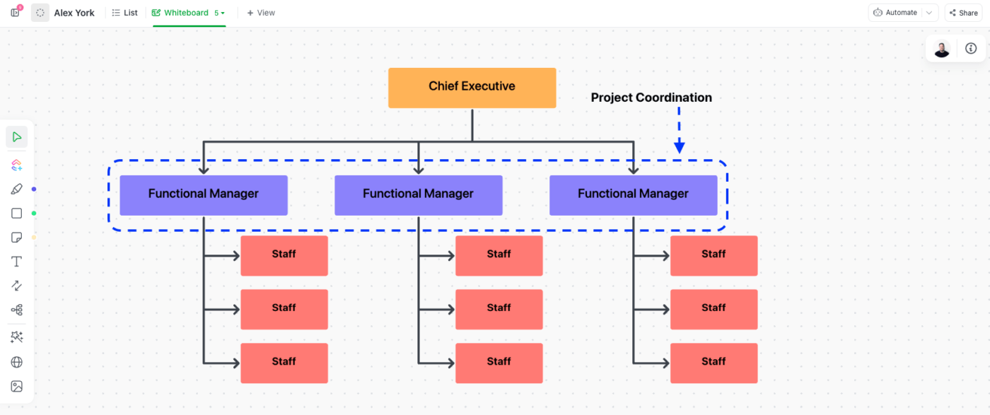 Project Organization Functional