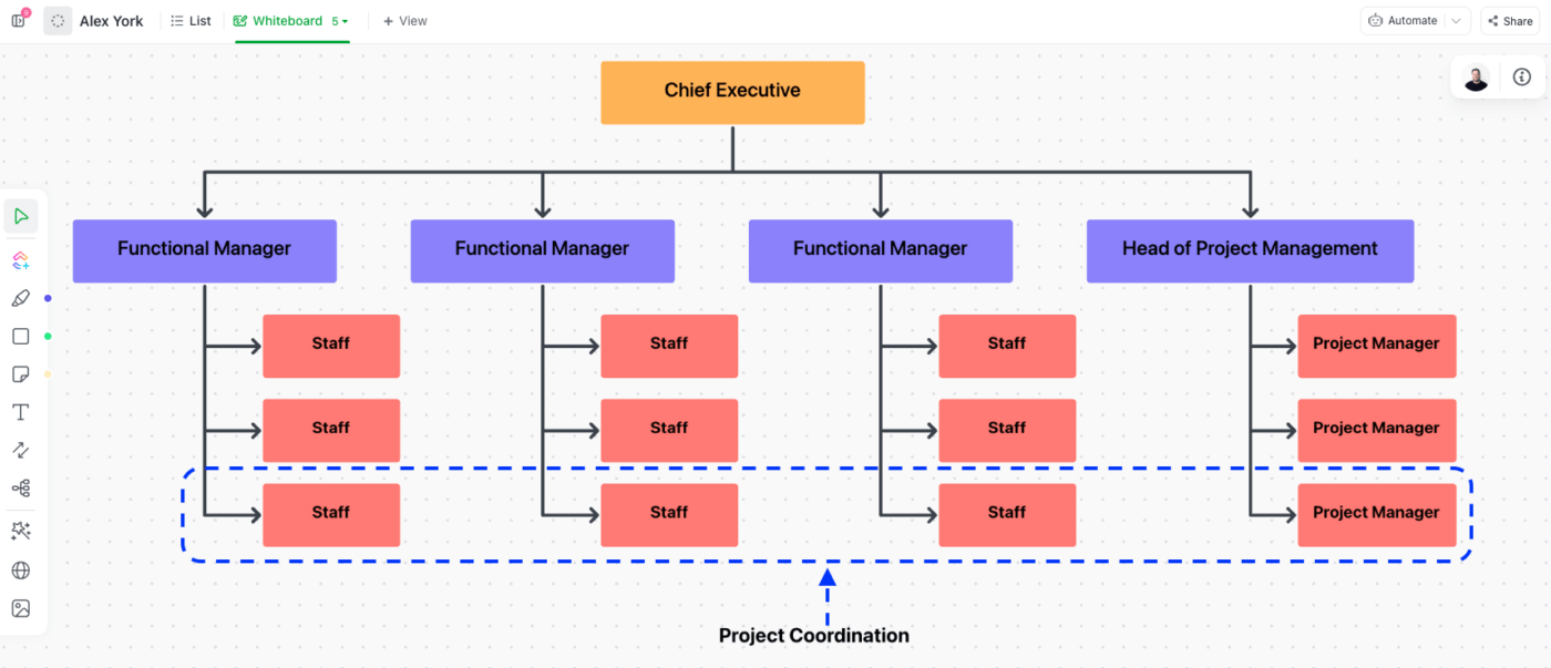 Project Organization Matrix Strong