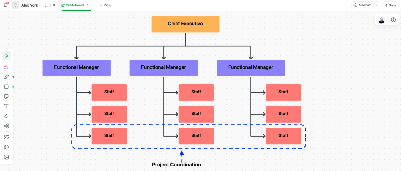 Project Organization Matrix Weak