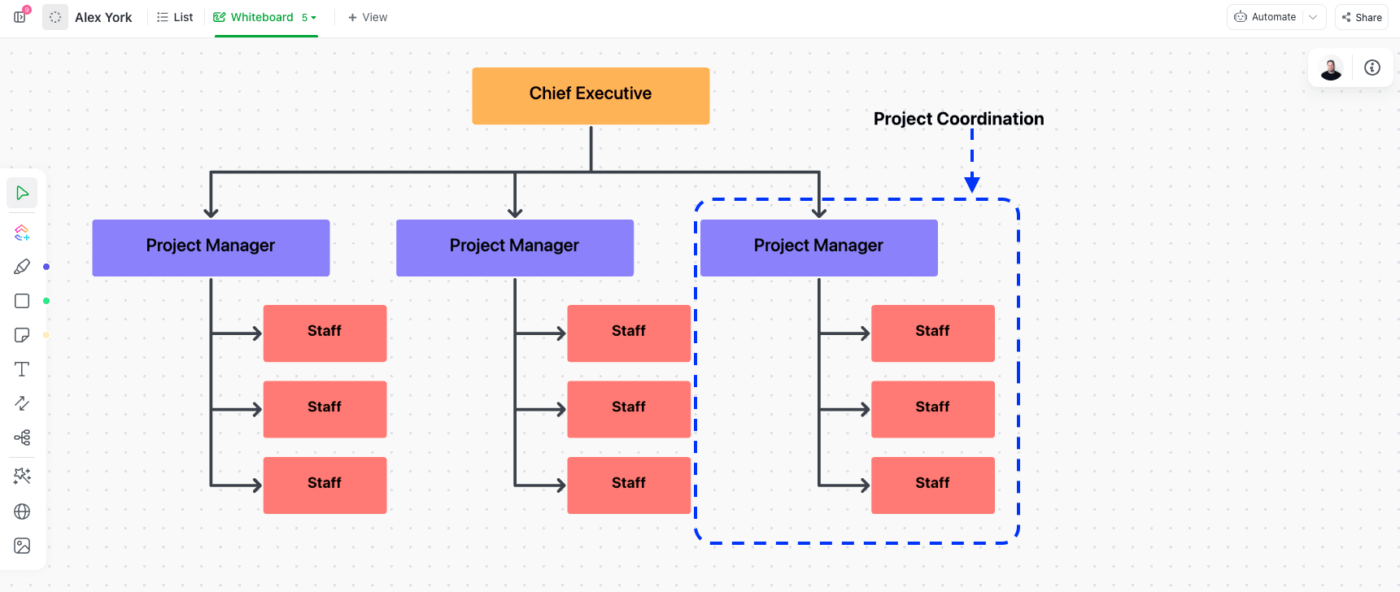 Project Management Organization Chart