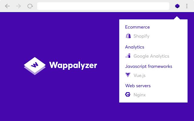 Analyze a website's structure, layout, and design elements with the Wappalyzer Chrome Extension