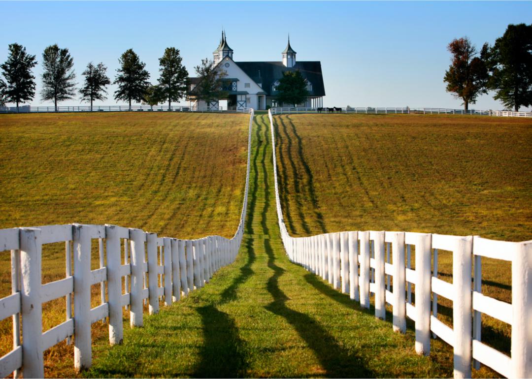 Wiejska farma koni w Kentucky