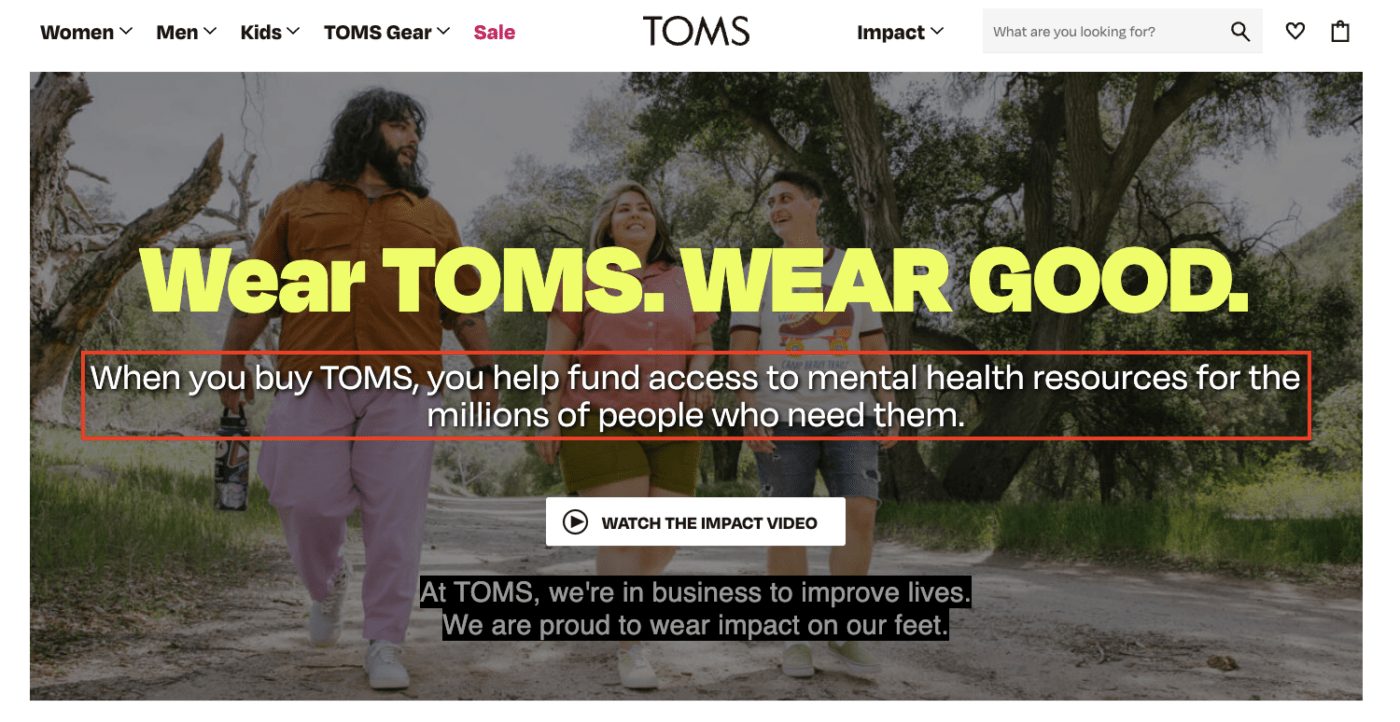 TOMS as a brand management strategy example