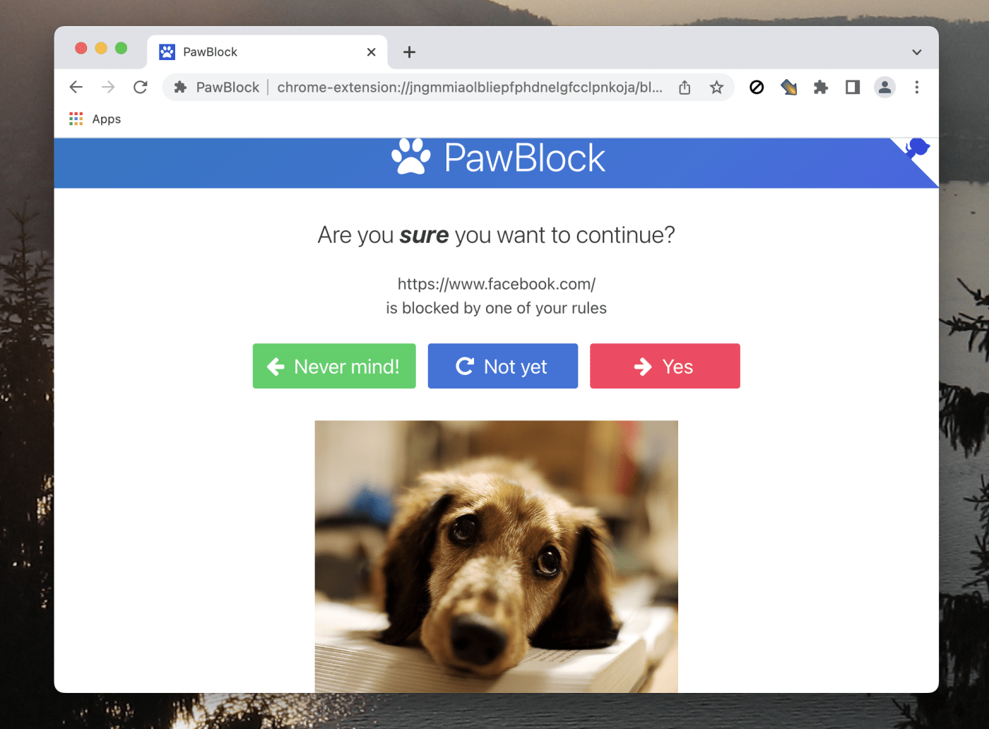 Block distracting sites with PawBlock when you need to get something done first