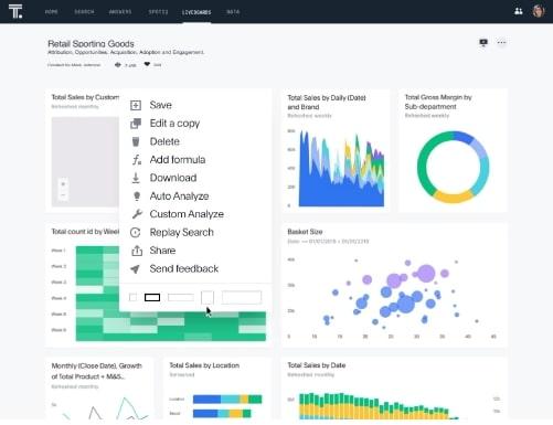 Ferramentas de relatório: Thoughtspot