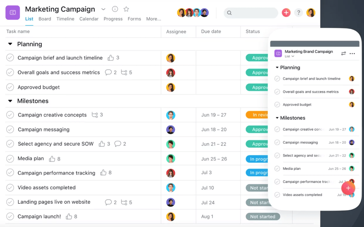 Managing Projects in Asana