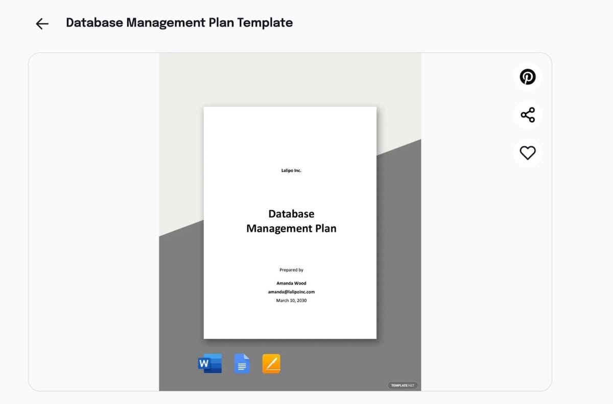 Modèle de plan de gestion de base de données MS Word par Template.net