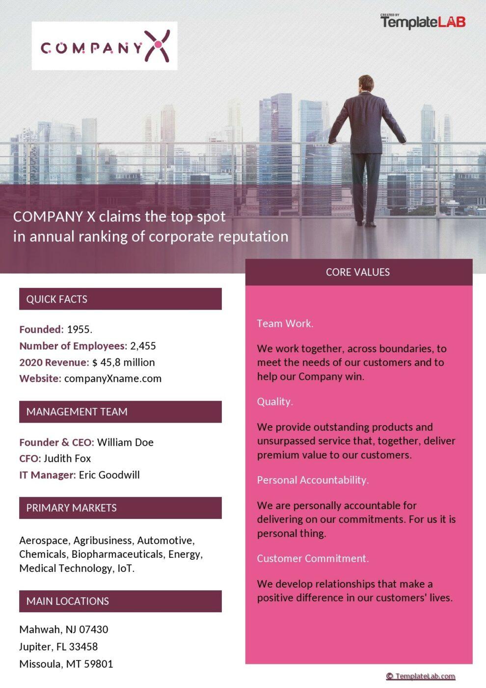 Microsoft Word Company Fact Sheet Template by TemplateLab