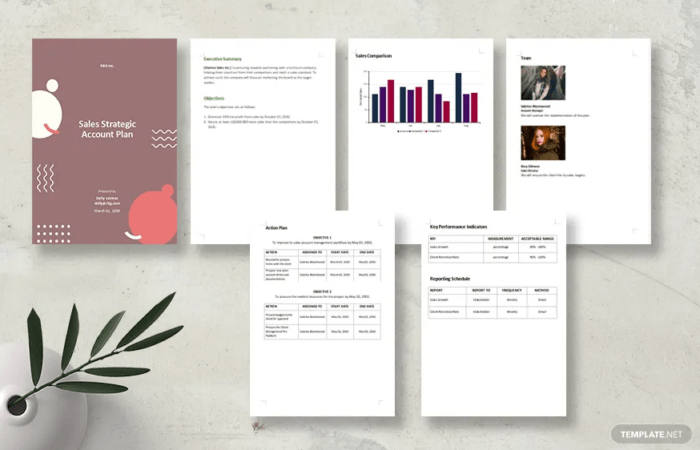Free Sales Account Planning Templates