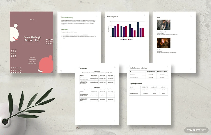 Sales Strategic Account Plan Template by Template.net