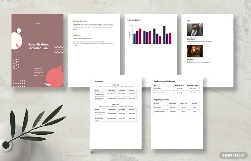 Template.net의 영업 전략 계정 계획 템플릿