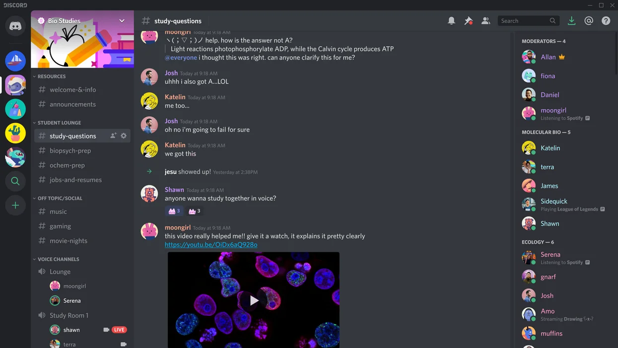 Screenshot of a chatbox in Discord