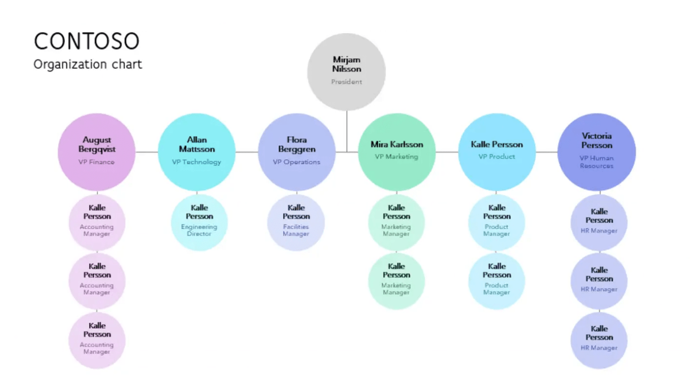 business organizational chart template word