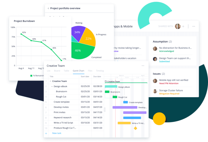10 Best Project Management Software With Client Portals | ClickUp
