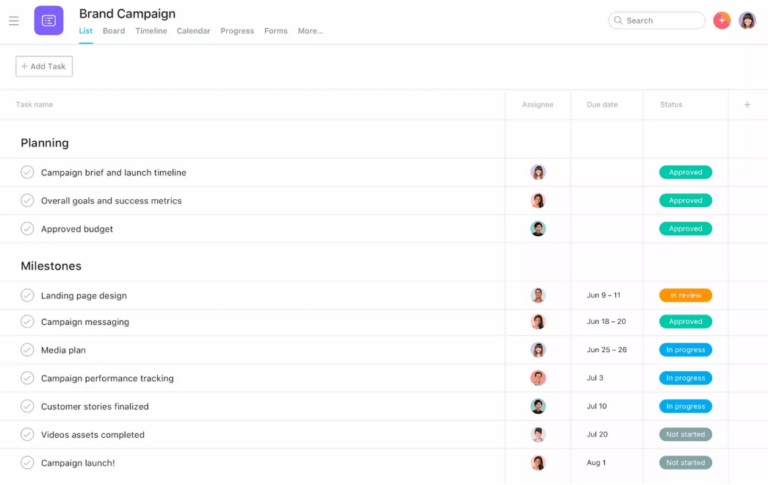 Example Of Using Project Management Software And Creating A Brand Campaign Project Map In Asana 768x485 