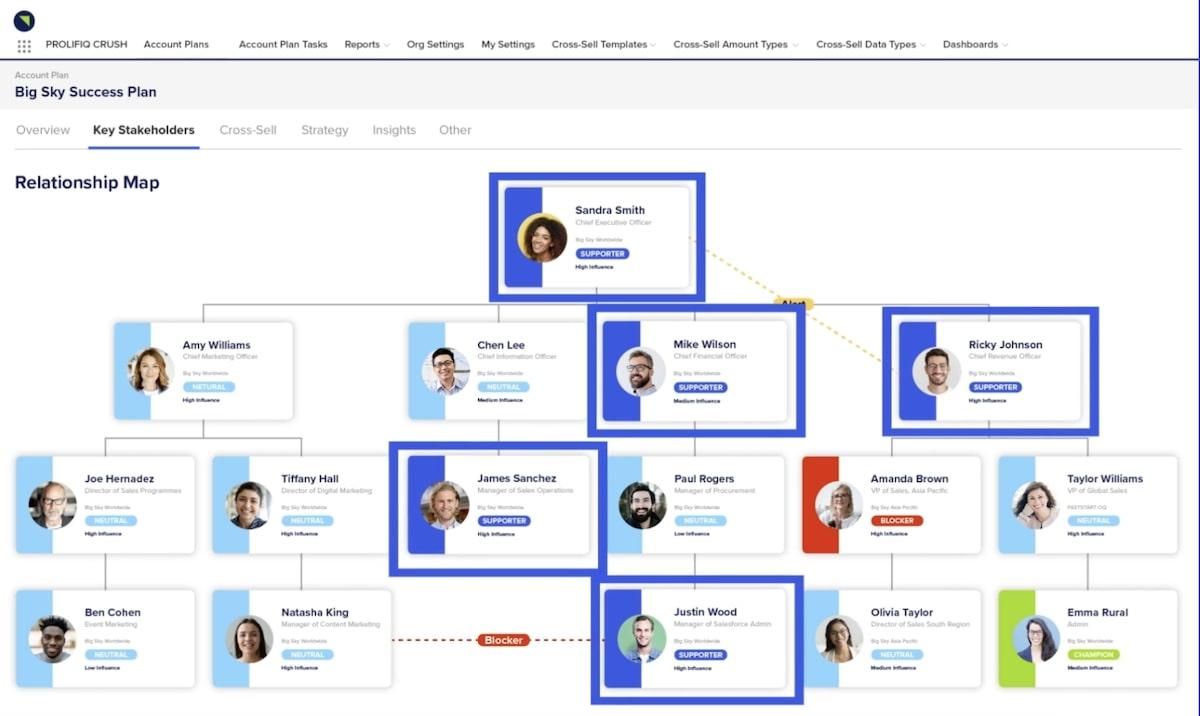 Relationship Mapping Software: example of a relationship map created in Prolifiq