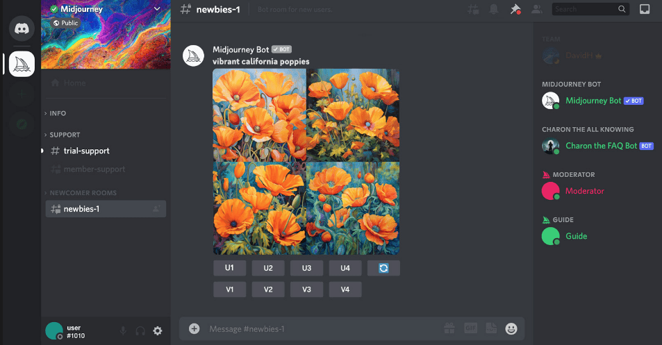 Using Midjourney through its Discord page to generate images of flowers