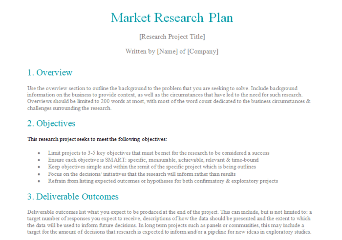 market research plan template