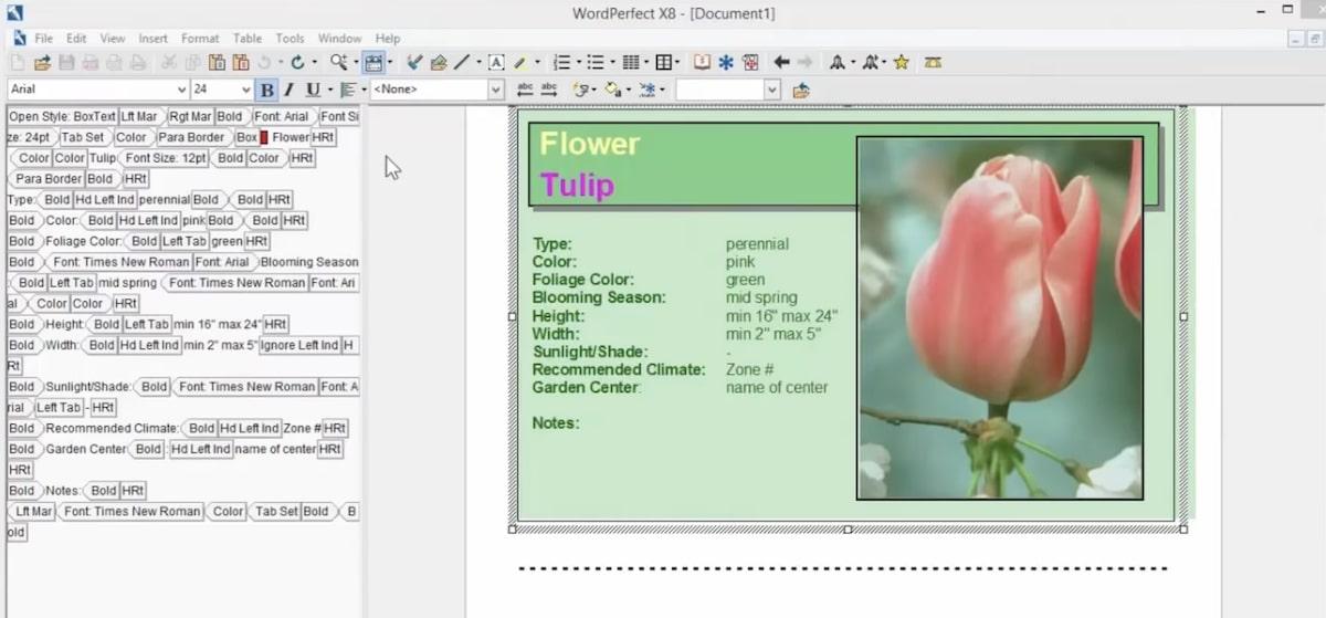 Alternative LibreOffice: screenshot della visualizzazione dell'editor fotografico di WordPerfect Office