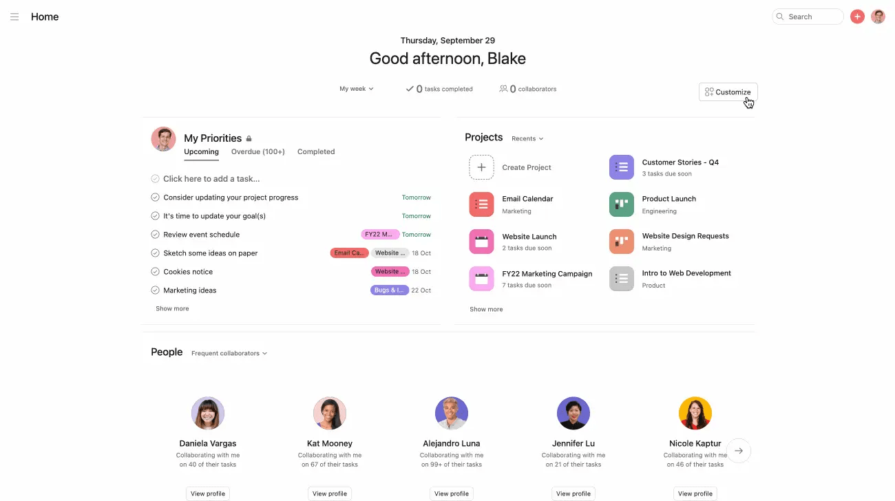 Asana Goals Feature