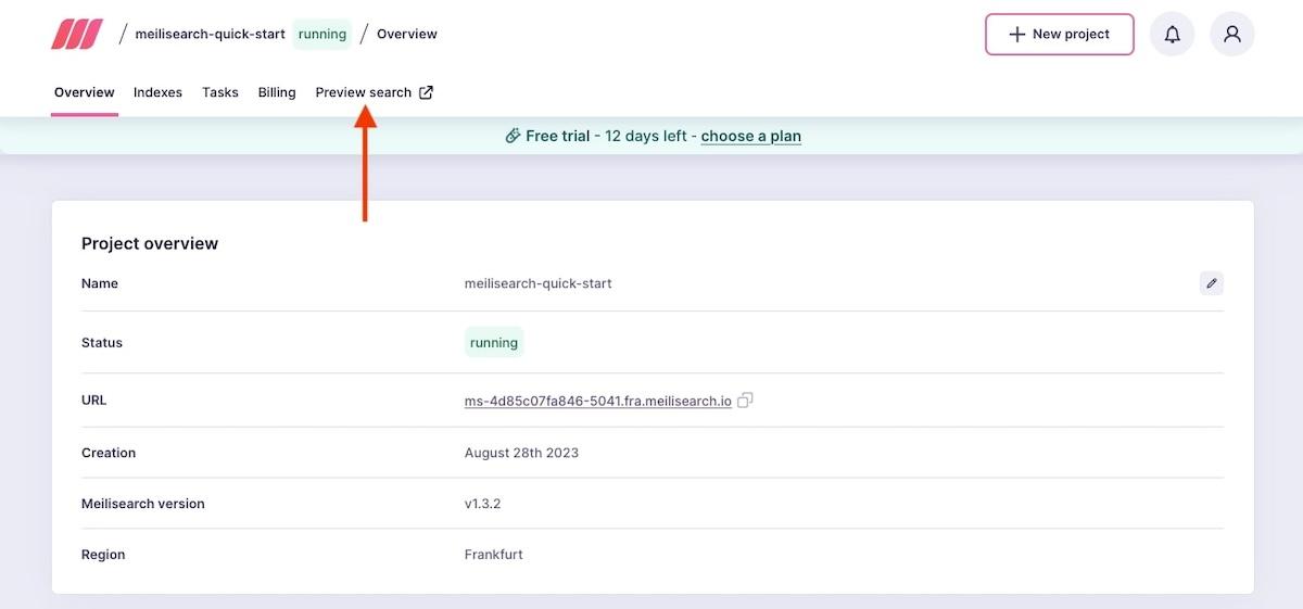 Elasticsearch alternatives: arrow pointing at the Preview search option in Meilisearch