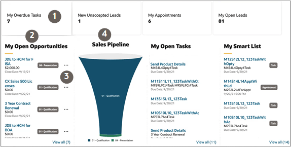 Oracle Sales CRM